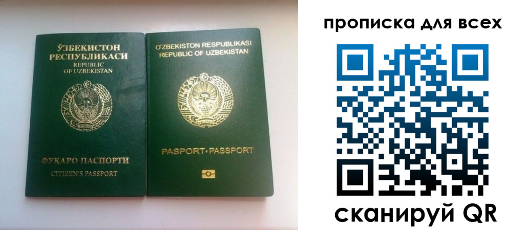 прописка для школы в Николаевске